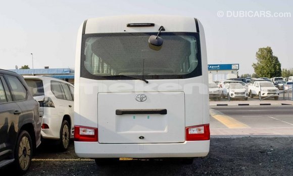 Buy Import Toyota Coaster White Car in Import - Dubai in Aragatsotn Buy Import Toyota Coaster White Car in Import - Dubai in Aragatsotn