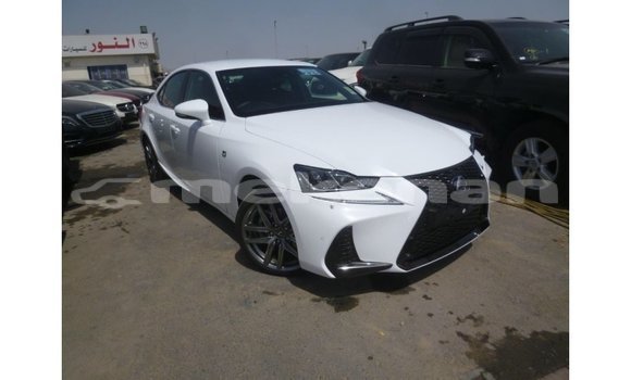 Buy Import Lexus IS White Car in Import - Dubai in Aragatsotn Buy Import Lexus IS White Car in Import - Dubai in Aragatsotn