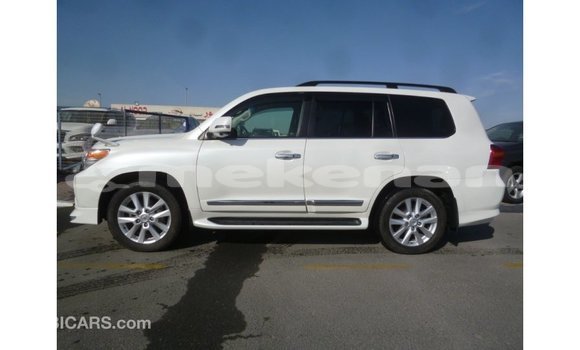 Buy Import Toyota Land Cruiser White Car in Import - Dubai in Aragatsotn Buy Import Toyota Land Cruiser White Car in Import - Dubai in Aragatsotn
