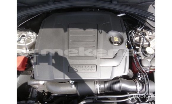 Buy Import Jaguar F-Pace Other Car in Import - Dubai in Aragatsotn Buy Import Jaguar F-Pace Other Car in Import - Dubai in Aragatsotn