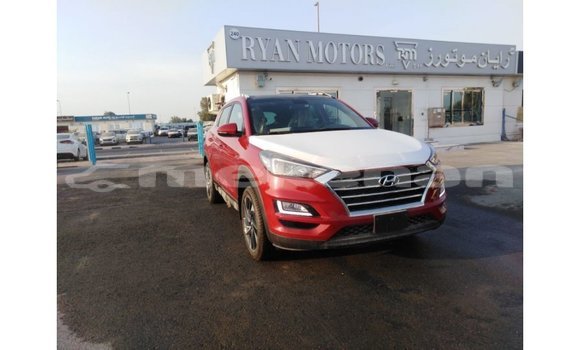 Buy Import Hyundai Tucson Red Car in Import - Dubai in Aragatsotn Buy Import Hyundai Tucson Red Car in Import - Dubai in Aragatsotn