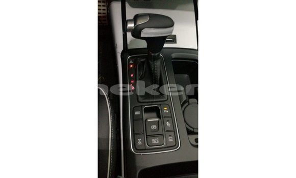 Buy Import Kia Sorento Brown Car in Import - Dubai in Aragatsotn Buy Import Kia Sorento Brown Car in Import - Dubai in Aragatsotn