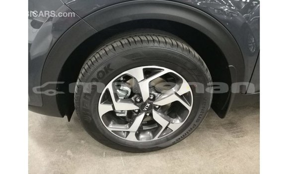 Buy Import Kia Sportage Other Car in Import - Dubai in Aragatsotn Buy Import Kia Sportage Other Car in Import - Dubai in Aragatsotn