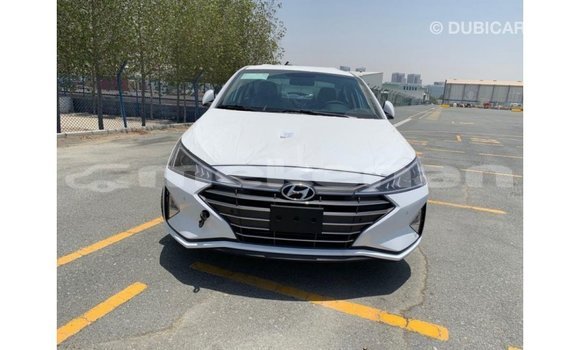 Buy Import Hyundai Elantra White Car in Import - Dubai in Aragatsotn Buy Import Hyundai Elantra White Car in Import - Dubai in Aragatsotn