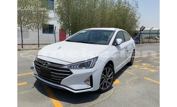 Buy Import Hyundai Elantra White Car in Import - Dubai in Aragatsotn Buy Import Hyundai Elantra White Car in Import - Dubai in Aragatsotn