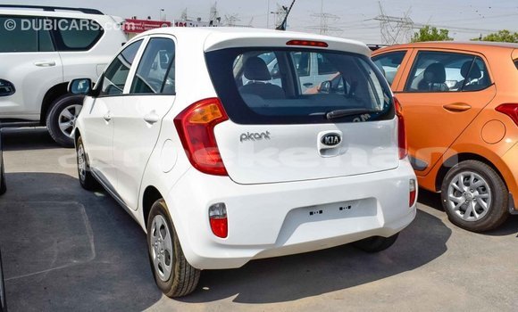 Buy Import Kia Picanto White Car in Import - Dubai in Aragatsotn Buy Import Kia Picanto White Car in Import - Dubai in Aragatsotn