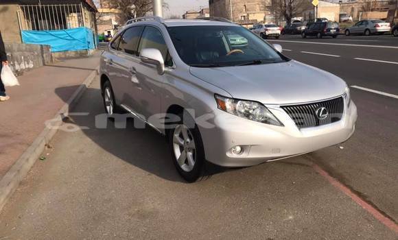 Buy Used Lexus RX 350 Silver Car in Yerevan in Yerevan Buy Used Lexus RX 350 Silver Car in Yerevan in Yerevan