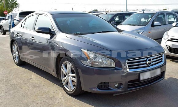 Buy Import Nissan Maxima Other Car in Import - Dubai in Aragatsotn Buy Import Nissan Maxima Other Car in Import - Dubai in Aragatsotn