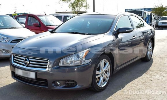 Buy Import Nissan Maxima Other Car in Import - Dubai in Aragatsotn Buy Import Nissan Maxima Other Car in Import - Dubai in Aragatsotn