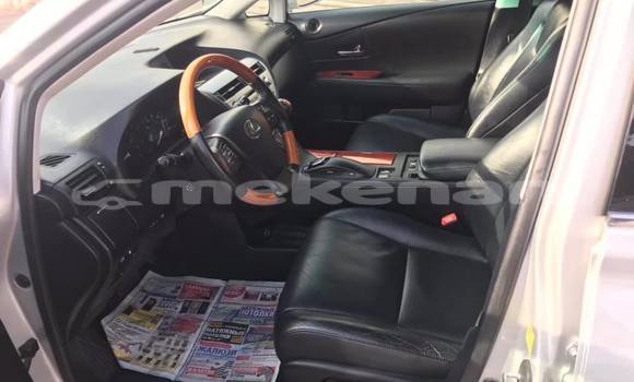 Buy Used Lexus RX 350 Silver Car in Yerevan in Yerevan Buy Used Lexus RX 350 Silver Car in Yerevan in Yerevan