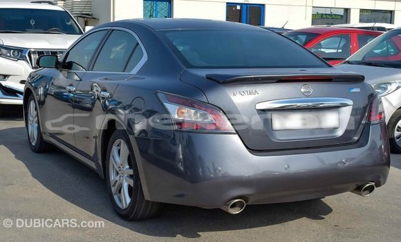 Buy Import Nissan Maxima Other Car in Import - Dubai in Aragatsotn Buy Import Nissan Maxima Other Car in Import - Dubai in Aragatsotn