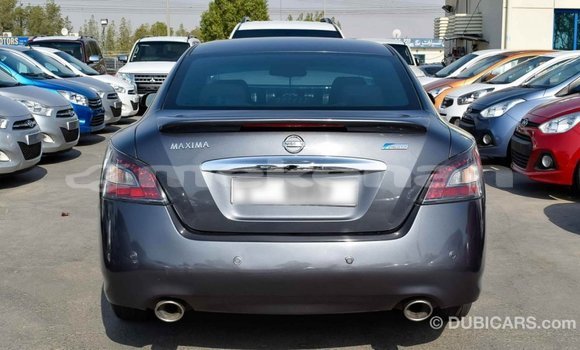 Buy Import Nissan Maxima Other Car in Import - Dubai in Aragatsotn Buy Import Nissan Maxima Other Car in Import - Dubai in Aragatsotn