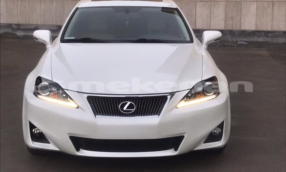 Buy Used Lexus IS White Car in Yerevan in Yerevan