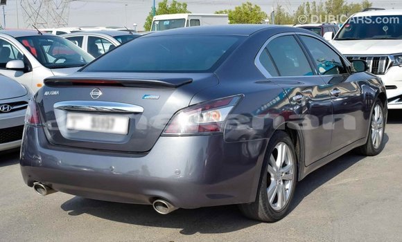 Buy Import Nissan Maxima Other Car in Import - Dubai in Aragatsotn Buy Import Nissan Maxima Other Car in Import - Dubai in Aragatsotn