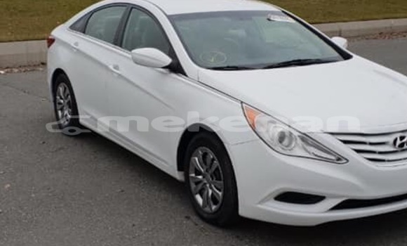 Buy Used Hyundai Sonata White Car in Yerevan in Yerevan Buy Used Hyundai Sonata White Car in Yerevan in Yerevan