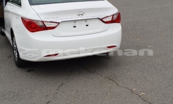 Buy Used Hyundai Sonata White Car in Yerevan in Yerevan Buy Used Hyundai Sonata White Car in Yerevan in Yerevan