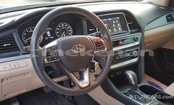 Buy Import Hyundai Sonata Black Car in Import - Dubai in Aragatsotn Buy Import Hyundai Sonata Black Car in Import - Dubai in Aragatsotn