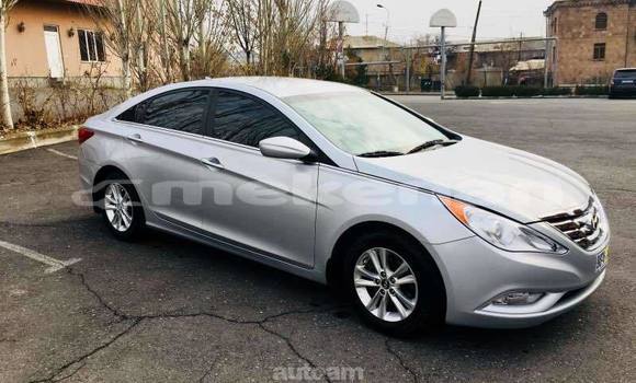 Buy Used Hyundai Sonata Silver Car in Yerevan in Yerevan Buy Used Hyundai Sonata Silver Car in Yerevan in Yerevan