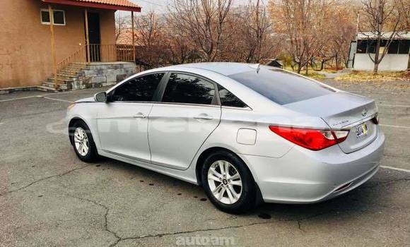 Buy Used Hyundai Sonata Silver Car in Yerevan in Yerevan Buy Used Hyundai Sonata Silver Car in Yerevan in Yerevan