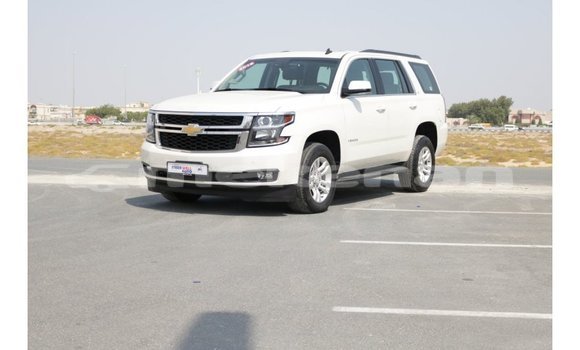 Buy Import Chevrolet Tahoe White Car in Import - Dubai in Aragatsotn