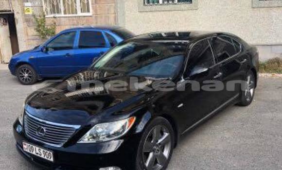 Buy Used Lexus LS Black Car in Yerevan in Yerevan