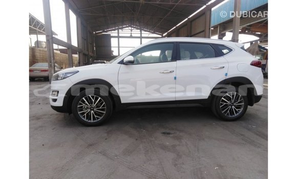 Buy Import Hyundai Tucson White Car in Import - Dubai in Aragatsotn Buy Import Hyundai Tucson White Car in Import - Dubai in Aragatsotn
