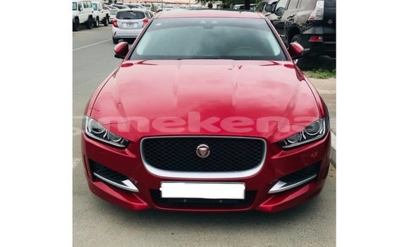 Buy Import Jaguar XE Red Car in Import - Dubai in Aragatsotn Buy Import Jaguar XE Red Car in Import - Dubai in Aragatsotn