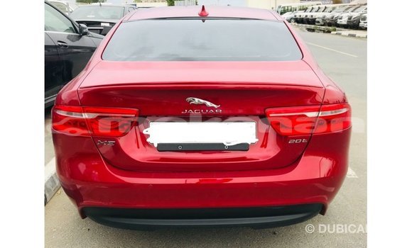Buy Import Jaguar XE Red Car in Import - Dubai in Aragatsotn Buy Import Jaguar XE Red Car in Import - Dubai in Aragatsotn