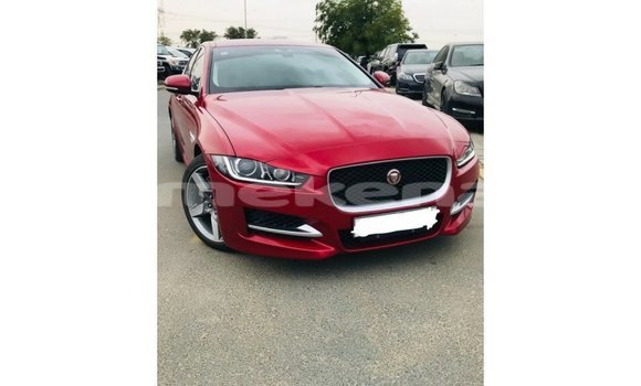 Buy Import Jaguar XE Red Car in Import - Dubai in Aragatsotn Buy Import Jaguar XE Red Car in Import - Dubai in Aragatsotn